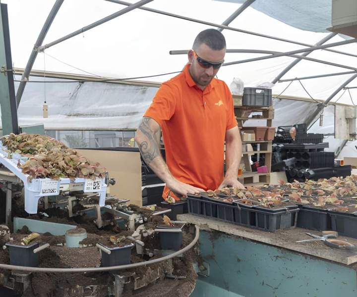 Production locale de plantes pour tous vos besoins