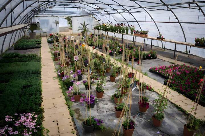 Exploitation horticole Liernais