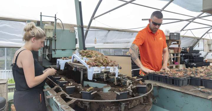 Entreprise horticole de confiance à Liernais