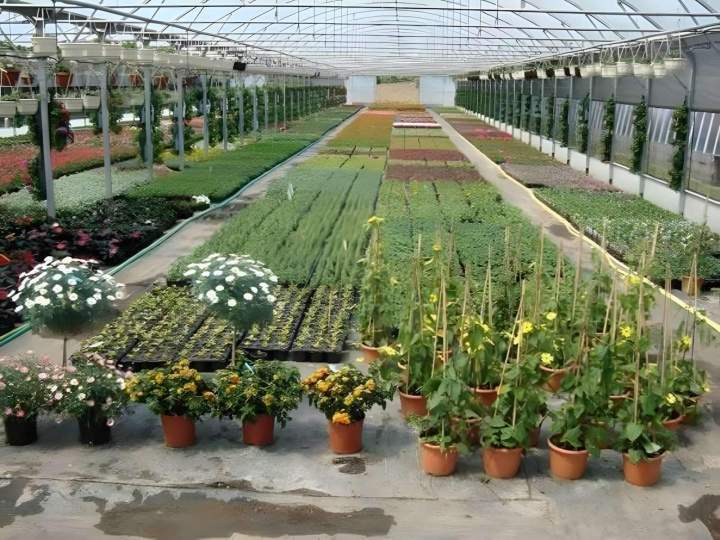 Culture de fleurs et de plantes Liernais