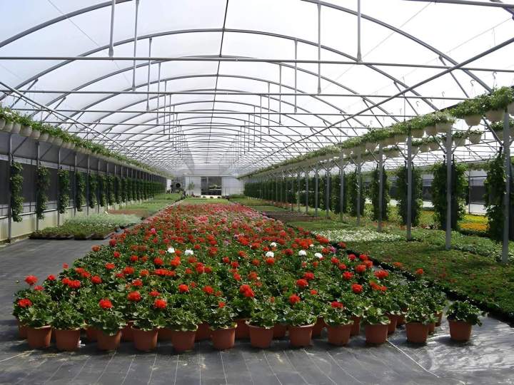 Production et vente de fleurs Liernais