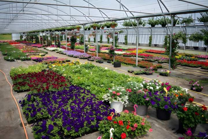 Pépiniériste Liernais