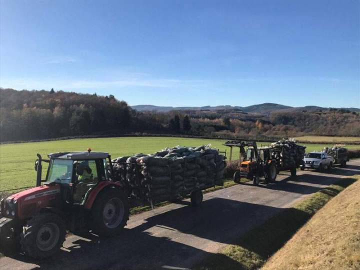 Production et enlèvement sapins de noël Liernais