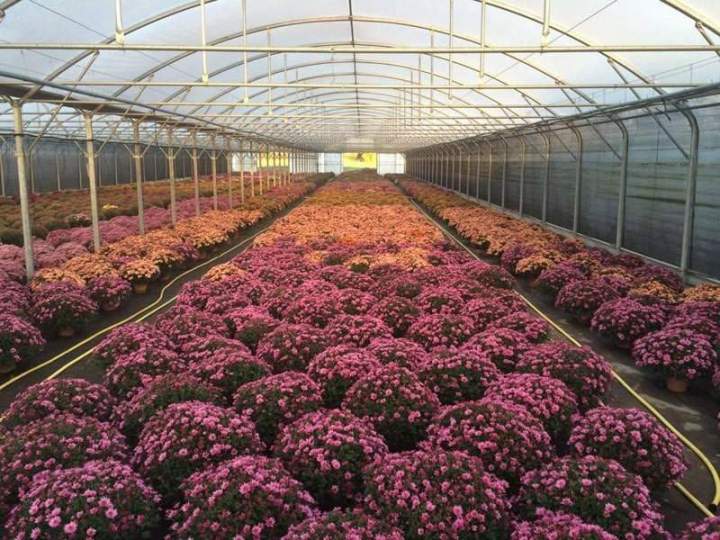 Horticulture bio Liernais