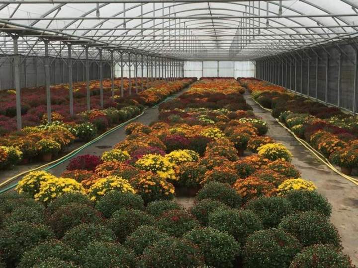 Producteur horticole Liernais