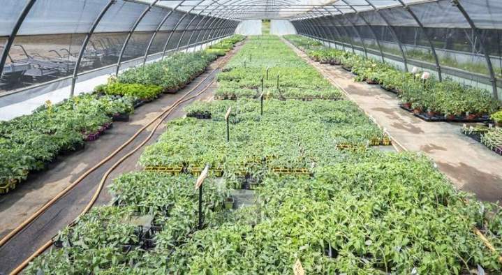 Entreprise d'horticulture près de Paris